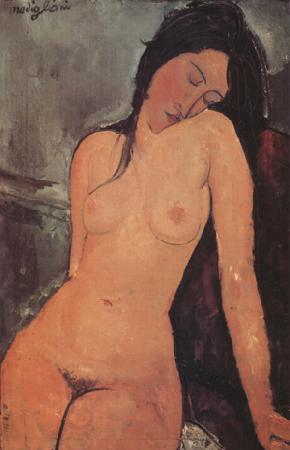 Amedeo Modigliani Nude (nn03) China oil painting art